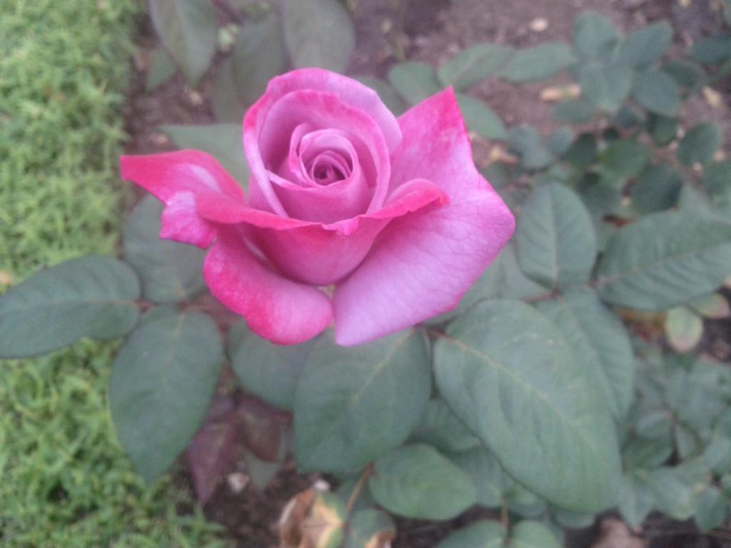 Jheelam Homestay Bhopal Luaran gambar