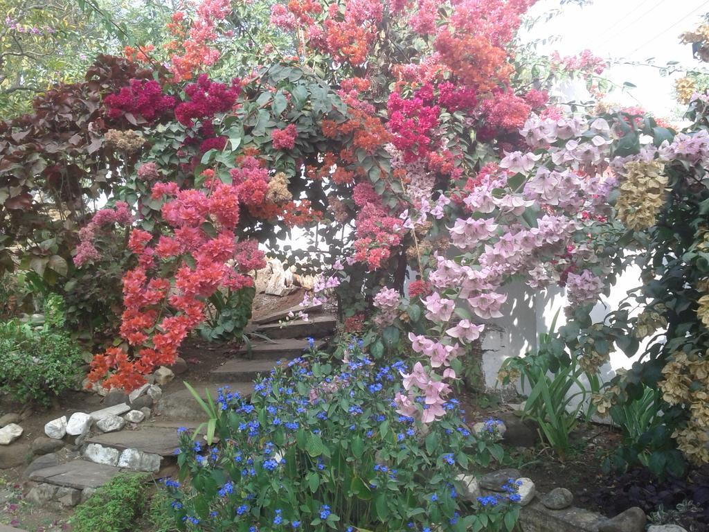 Jheelam Homestay Bhopal Luaran gambar