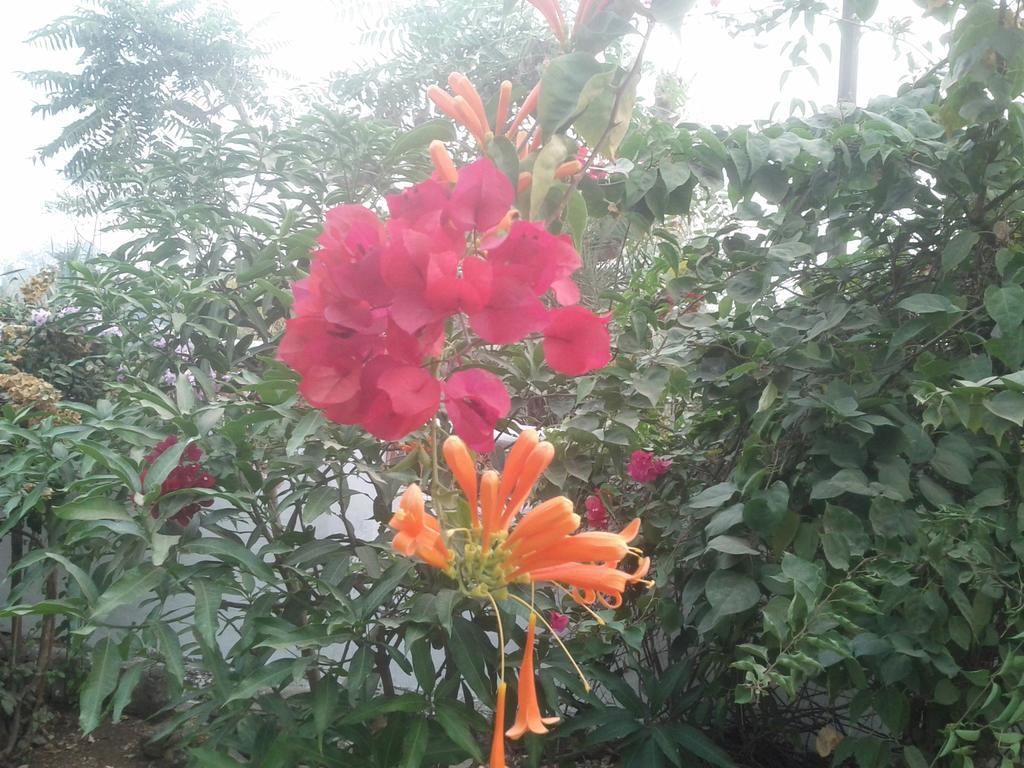 Jheelam Homestay Bhopal Luaran gambar
