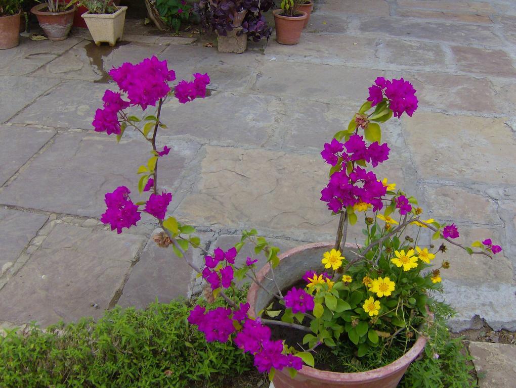 Jheelam Homestay Bhopal Luaran gambar