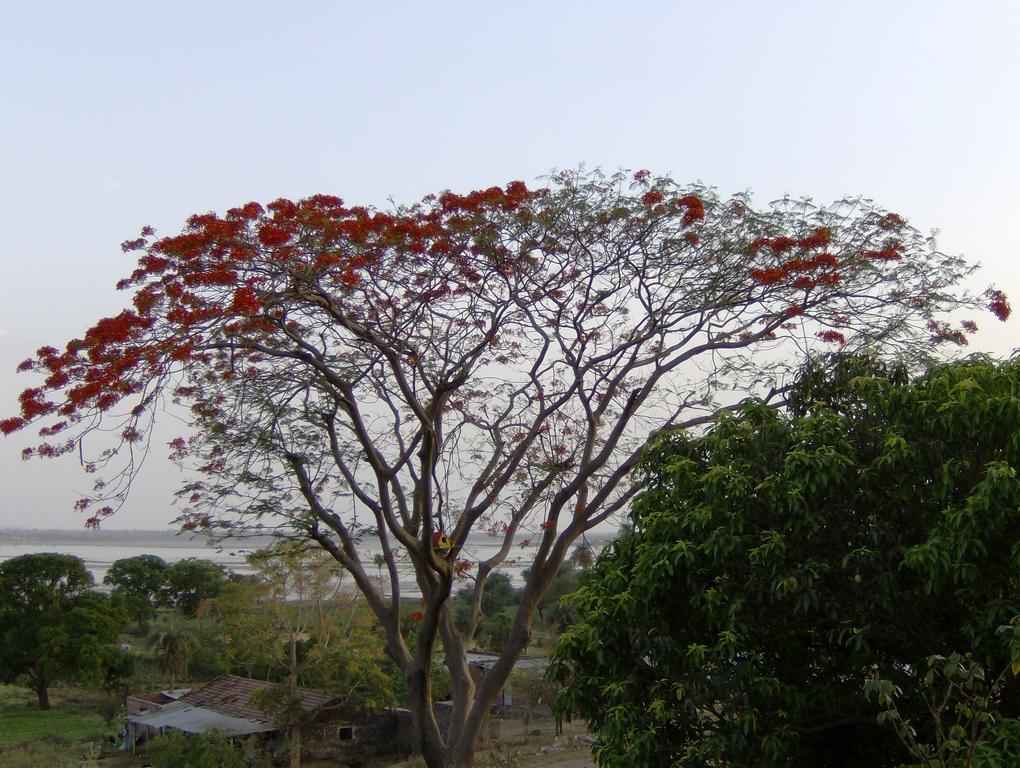Jheelam Homestay Bhopal Luaran gambar