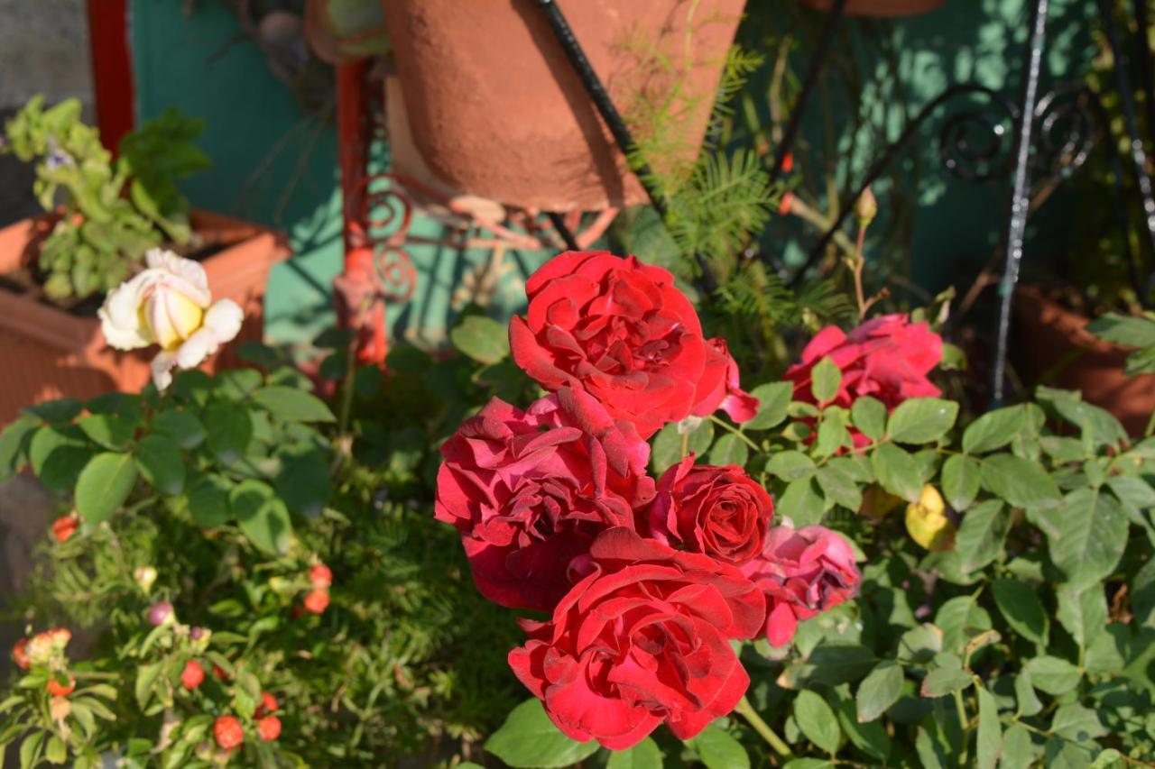 Jheelam Homestay Bhopal Luaran gambar